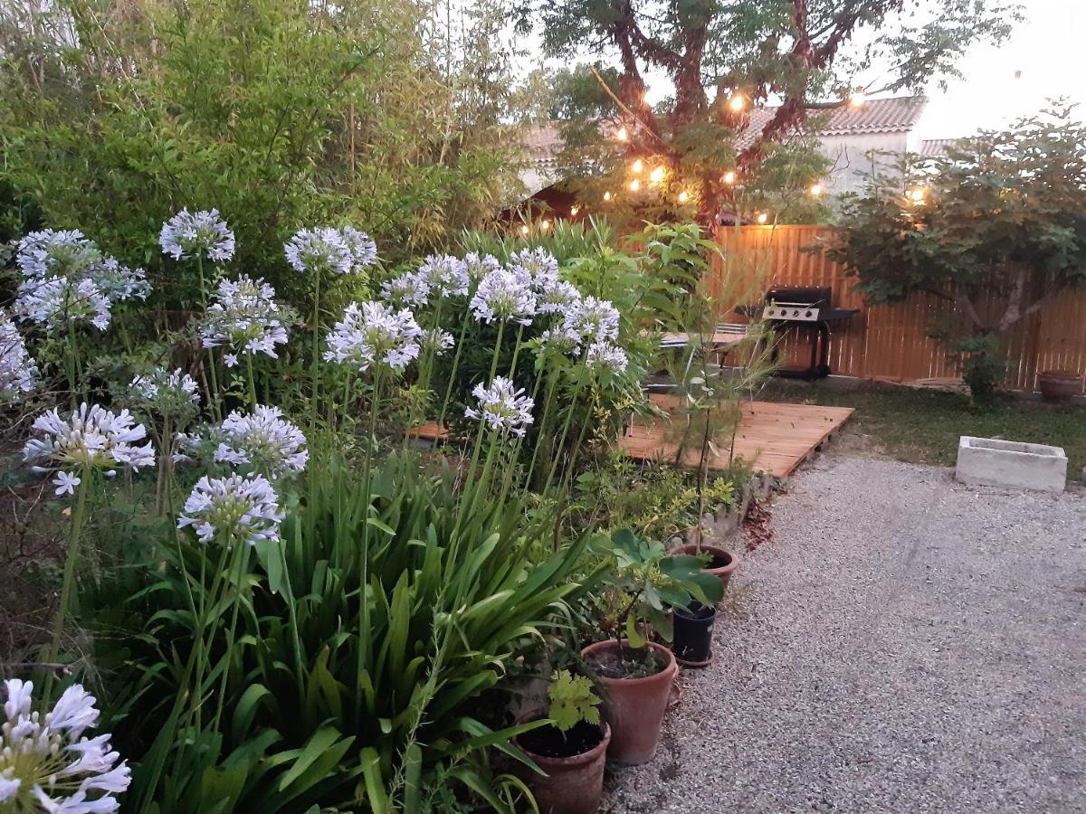 Villa " Les Bambous " , Jardin , Terrasse , Climatisation , Wifi , Parking Avignon Exterior photo